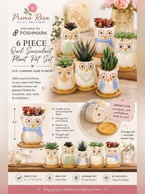 3” mini owl plant container set